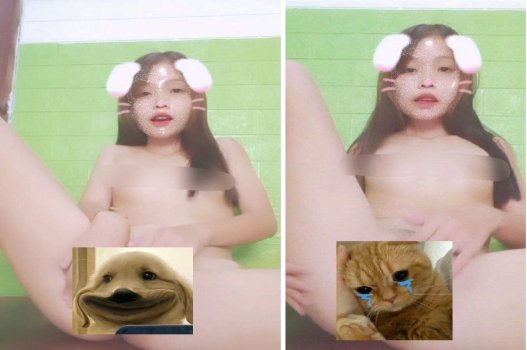 Tik toker Mèo cute mê mẩn tình yêu đê mê